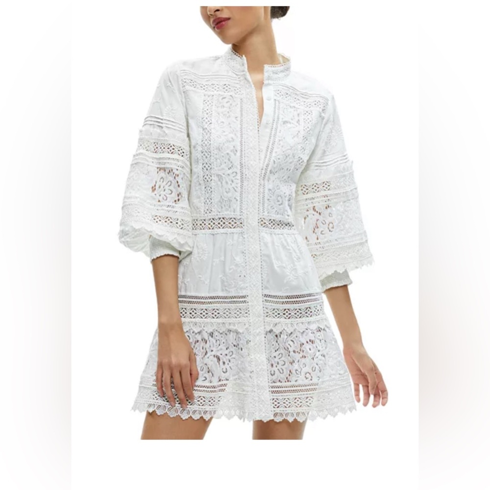 Alice + Olivia Cailin Mixed Lace Cotton Dress